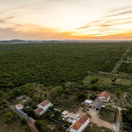 Flora Zadar וילה *